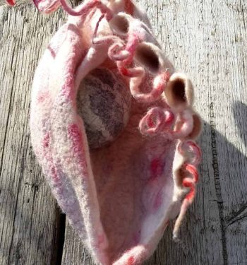 schelp vilt 1